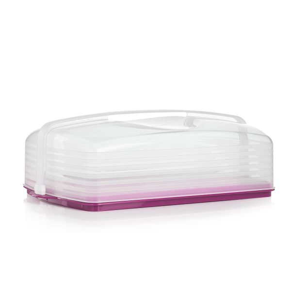 Tupper Ware Cake Taker | Rectangular