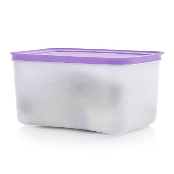 Tupper Ware Tupperware® Freezer Mates® PLUS Medium Deep | Food Storage Container